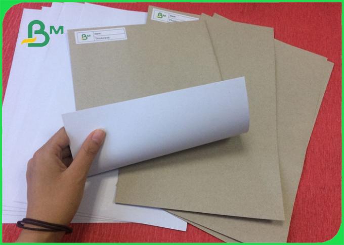 Grade A Offset Printing Paper 200-450g Coated Duplex Board In Roll