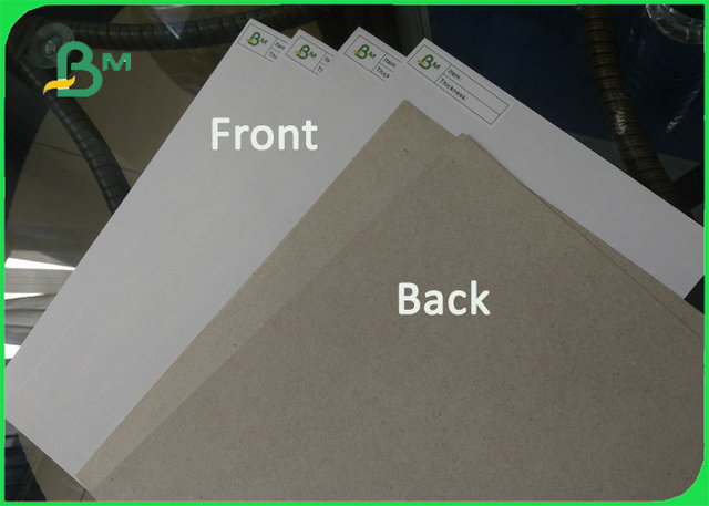 Cheap price Grade AA / AAA White Clay Coated Carton Duplex Board In sheet
