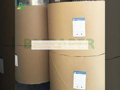 กระดาษพระคัมภีร์สีขาวของธรรมชาติ สามารถบีโอย่อยสลายได้ และเป็นมิตรต่อสิ่งแวดล้อม