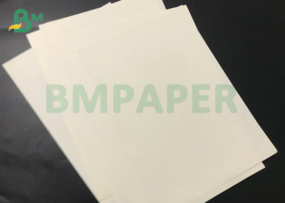 ม้วนจัมโบ้ 80g 100g Uncoated Cream Woodfree Offset Paper For Textbook