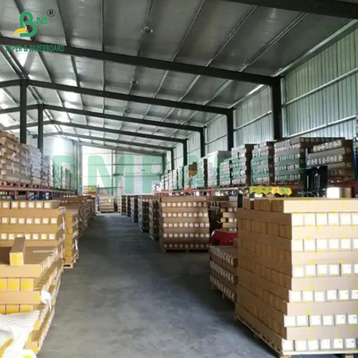100 กรัม 140 กรัม กระดาษม้วนปูปูปูปูปูปูปูปูปูปูปูปูปูปูปูปูปูปูปูปูปูปูปูปูปูปูปูปูปูป