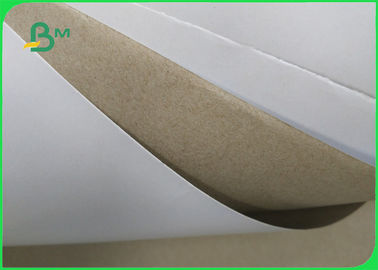Smooth White Coated 270gsm Back Grey Duplex Board 1160mm Roll