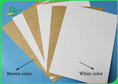 กระดาษซับข้อความสีขาวเคลือบด้านหนึ่ง 300 กรัมสำหรับทำกล่องทาร์ตไข่