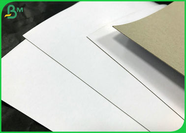 C1S กล่องกระดาษสองหน้าขาวพื้นผิวสีน้ำตาลด้านหลังม้วนสี 250 แกรม 300 แกรม
