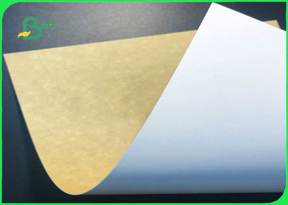 200gsm - 350gsm กระดาษคราฟท์สีขาวด้านบนสำหรับบรรจุอาหาร