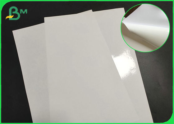 ม้วนกระดาษกึ่งเงากันน้ำได้ดีสำหรับทำฉลากสติ๊กเกอร์ที่ย่อยสลายได้