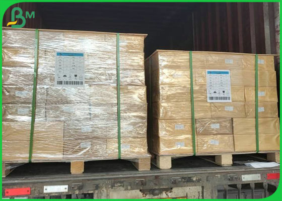 ไม่ฉีกขาด 100um 130um หนา PP กระดาษสังเคราะห์โพรพิลีนม้วนความกว้าง 1090 มม