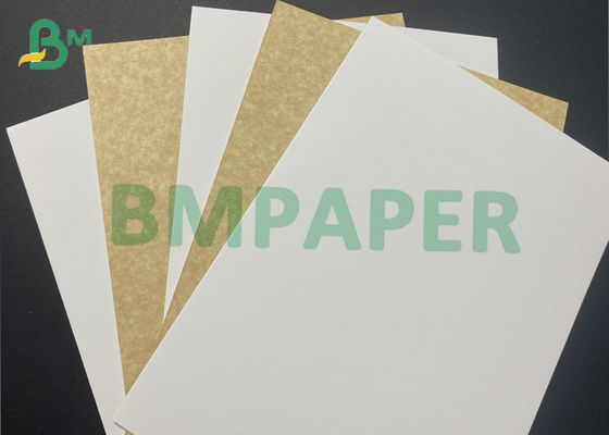 270 กรัม 325 กรัม กระดาษกระดาษ Kraft ประเภทอาหาร ที่เคลือบด้วยกระดาษกระดาษกระดาษกระดาษกระดาษกระดาษกระดาษกระดาษกระดาษกระดาษกระดาษกระดาษกระดาษกระดาษกระดาษกระดาษกระดาษกระดาษกระดาษกระดาษกระดาษกระดาษกระดาษกระดาษกระดาษกระดาษกระดาษกระดาษกระดาษกระดาษกระดาษกระดาษกระดาษกระดาษกระดาษกระดาษกระดาษกระดาษกระดาษกระดาษกระดาษกระดาษกระดาษกระดาษกระดาษกระดาษกระดาษกระดาษกระดาษกระดาษกระดาษกระดาษกระดาษกระดาษกระดาษกระดาษกระดาษกระดาษกระดาษกระดาษกระดาษกระดาษกระดาษกระดาษ