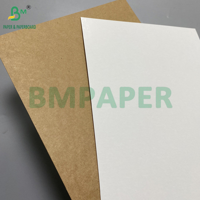360 กรัม 365 กรัม กระดาษกระดาษกระดาษกระดาษกระดาษกระดาษกระดาษกระดาษกระดาษกระดาษกระดาษ