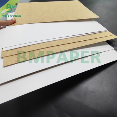 350 กรัม CKB ผิวขาว ผิวน้ําตาล กระดาษหลัง Kraft สําหรับกล่องสลัด 25' x 38'