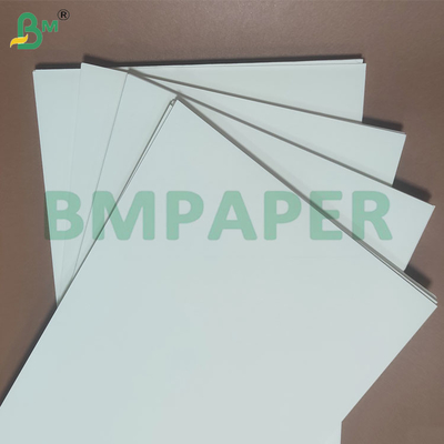 135-350 GSM กระดาษกันน้ํา PE ที่เคลือบขนาดสอง สําหรับถ้วยและถ้วย