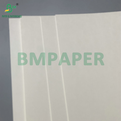 ทนต่อน้ํา PE แบบเดียวเคลือบ 190gsm 210gsm Cupstock สําหรับการทําถ้วยกระดาษร้อนและเย็น