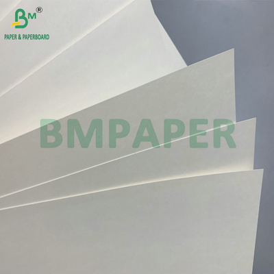 ทนต่อน้ํา PE แบบเดียวเคลือบ 190gsm 210gsm Cupstock สําหรับการทําถ้วยกระดาษร้อนและเย็น