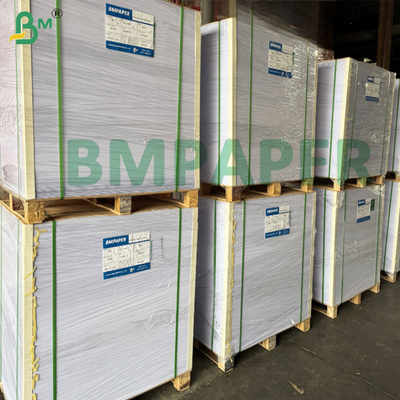 250 กรัม กระดาษฐานถ้วยน้ํา พลาสติกฐานน้ํา ปลาสติกประเภทอาหาร