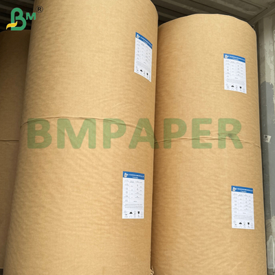 Food Safe Silicone Coated Paper Sheets for Oily Food Packaging