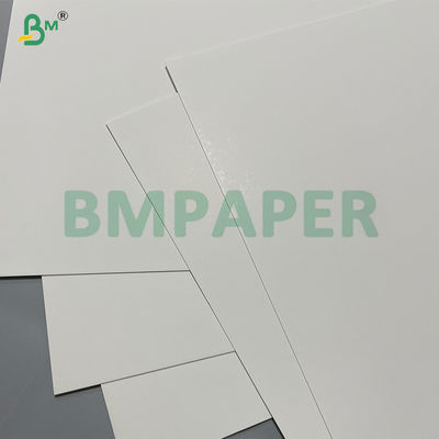 350gsm High Bulk Food Grade One Side Coated Food Board In Sheet