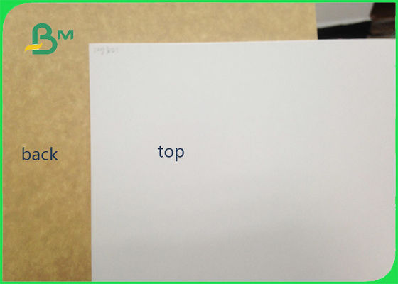 450gsm FSC Certified Clay Coated Kraft กลับกระดาษเกรดอาหารกระดาษ Roll / กระดาษสีขาวสำหรับบรรจุ