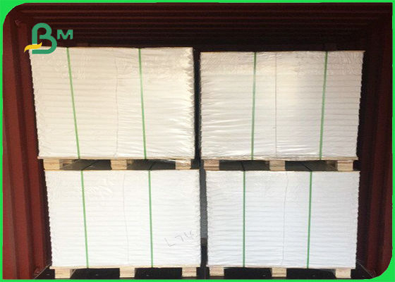 เป็นมิตรกับสิ่งแวดล้อมกระดาษกันน้ำและกันน้ำฉีกขาดสำหรับทำกระเป๋า