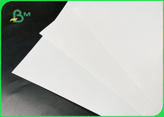 เป็นมิตรกับสิ่งแวดล้อมกระดาษกันน้ำและกันน้ำฉีกขาดสำหรับทำกระเป๋า