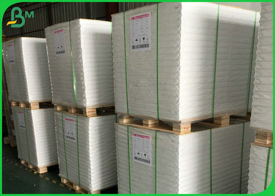 300GSM FSC SGS ขาวกระดาษมันวาวม้วนกระดาษด้วยวัสดุเยื่อกระดาษธรรมชาติ 100%