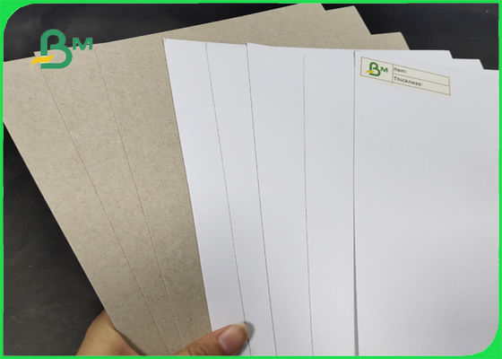 200 / 230gr C1S พร้อมกลับสีเทาเกรด AA ความกว้าง 1250 มม. พร้อมใบรับรอง SGS และ FSC