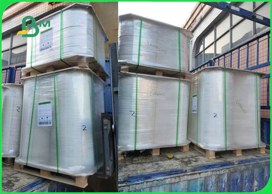 ม้วนกระดาษม้วนฐานอาหารเกรด 60 แกรม 120 แกรมไม่เป็นอันตรายต่อสุขภาพ 14 มม. 15 มม