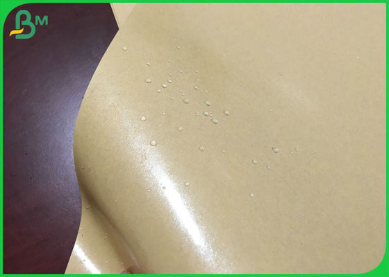 กระดาษครัฟท์สีน้ําตาล 787 มม 250 กรัม มี 15 กรัม PE ที่เคลือบสําหรับกล่องพิซซ่า กันน้ํามัน