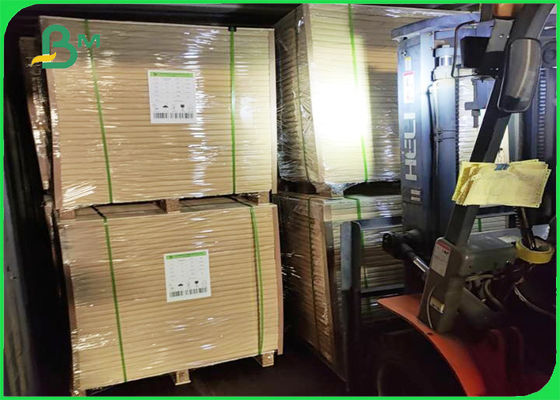 กระดาษเกรด PE เคลือบด้านเดียว 210g กระดาษ 10g PE