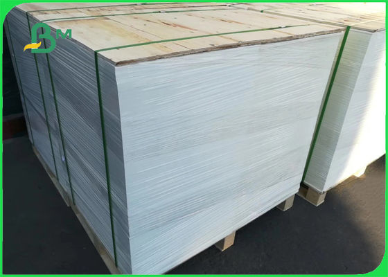 295gsm 325gsm กระดาษแข็งเกรดอาหารสำหรับกล่องข้าวโพดคั่วจำนวนมาก 70 x 100cm