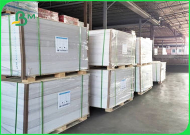 185 + 15g Polycoated Cupstock Board ทิ้ง FDA อนุมัติ 50 * 35 ซม