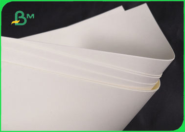 ย่อยสลายได้ 190gsm 210gsm Cupstock กระดาษรองสำหรับชามอาหาร 720 มม. 860 มม