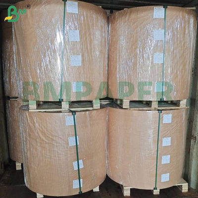 40gsm Food Grade Color Paper Roll For Making Cupcake Mould Muffin Holder