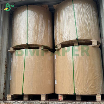 70g Moisture - resistant Direct Thermal Paper Jumbo Roll For POS Cash Register / Label