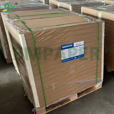 24pt 18pt Solid Bleached Sulfate Paperboard Food Grade Plate Paper 27" X 39"