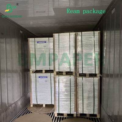 300gram 350gram Food Safety Greaseproof Cardboard For French fries Pack SRA1 Size