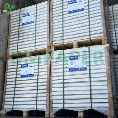 250gsm Double Side Coated Glossy Art Paper Sheets 787mm*1092mm