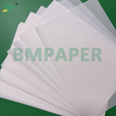 40gsm Food Grade Color Paper Roll For Making Cupcake Mould Muffin Holder