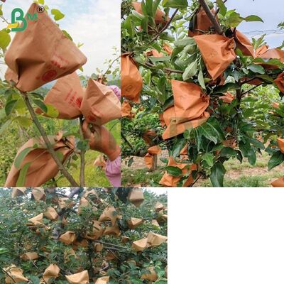 กระดาษห่อผลไม้ด้านนอกสีแดงสำหรับห่อแอปเปิล, กระดาษห่อแอปเปิลแบบไม่เคลือบขี้ผึ้ง 56 แกรม