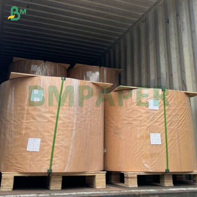 กระดาษอบคัพเค้กสีสันสดใสเกรดอาหาร 40 แกรม แบบม้วน