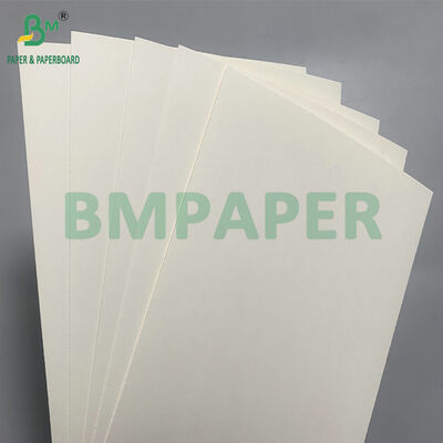 กระดาษกระดาษที่ปลอดภัยจากไมโครเวฟและสามารถบีโอเดเกรดได้ สําหรับการผลิตถ้วยสําหรับสลัด