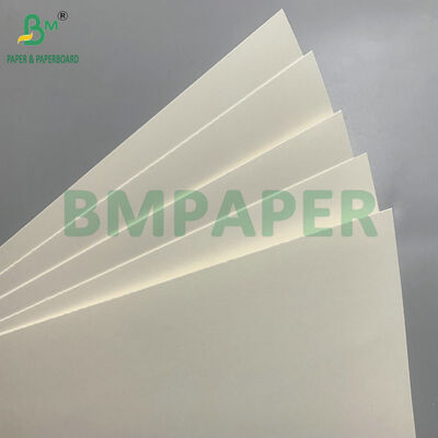 กระดาษกระดาษที่ปลอดภัยจากไมโครเวฟและสามารถบีโอเดเกรดได้ สําหรับการผลิตถ้วยสําหรับสลัด