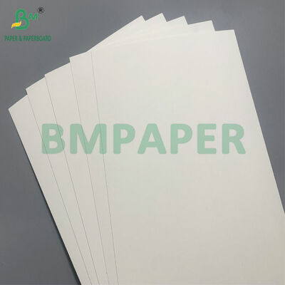 กระดาษกระดาษที่ปลอดภัยจากไมโครเวฟและสามารถบีโอเดเกรดได้ สําหรับการผลิตถ้วยสําหรับสลัด