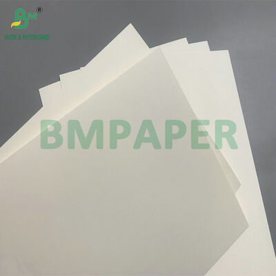 กระดาษกระดาษที่ปลอดภัยจากไมโครเวฟและสามารถบีโอเดเกรดได้ สําหรับการผลิตถ้วยสําหรับสลัด