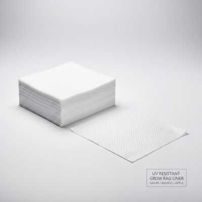 กระดาษใส่กระเป๋าสะพาย ผนังชั้นภายใน