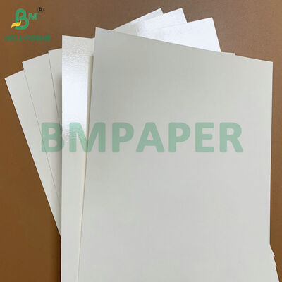 กระดาษกระดาษกระดาษกระดาษกระดาษกระดาษกระดาษกระดาษกระดาษกระดาษกระดาษกระดาษ