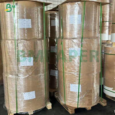 40gsm Multi - Color Greaseproof Muffin Cup Cake Baking Tray Paper