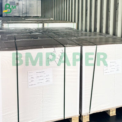 Double Side PE Coated Food Bowl Stock Paper Sheets Leak-proof