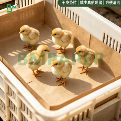 กระดาษลูกไก่สีน้ำตาล 75 แกรมกระดาษรีไซเคิลสำหรับสัตว์ปีกที่ย่อยสลายได้ 100% สำหรับโรงเพาะฟัก