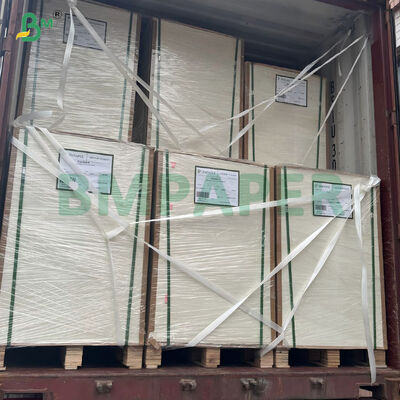 300gsm+15gsm White Single Side PE Coated Paper For Lunch Box
