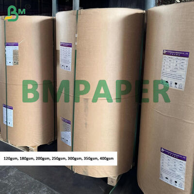 250gsm 300gsm White Kraft Paper For Hang Tags Jumbo Rolls, Rough Surface